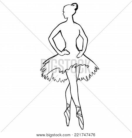 Ballet Tutu Drawing at GetDrawings | Free download