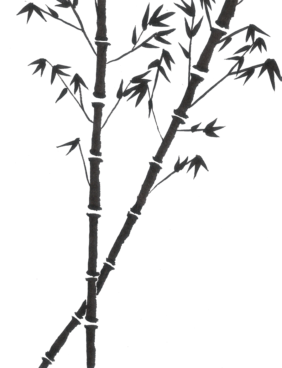 Bamboo Tree Drawing at GetDrawings | Free download