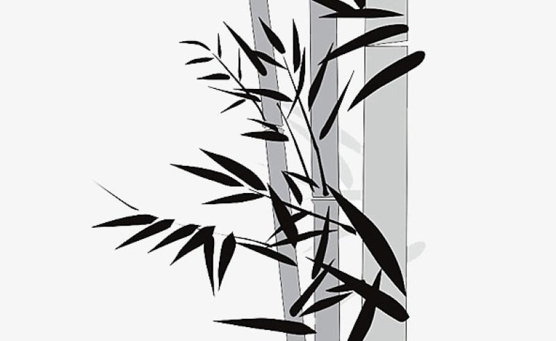 Bamboo Tree Drawing at GetDrawings | Free download