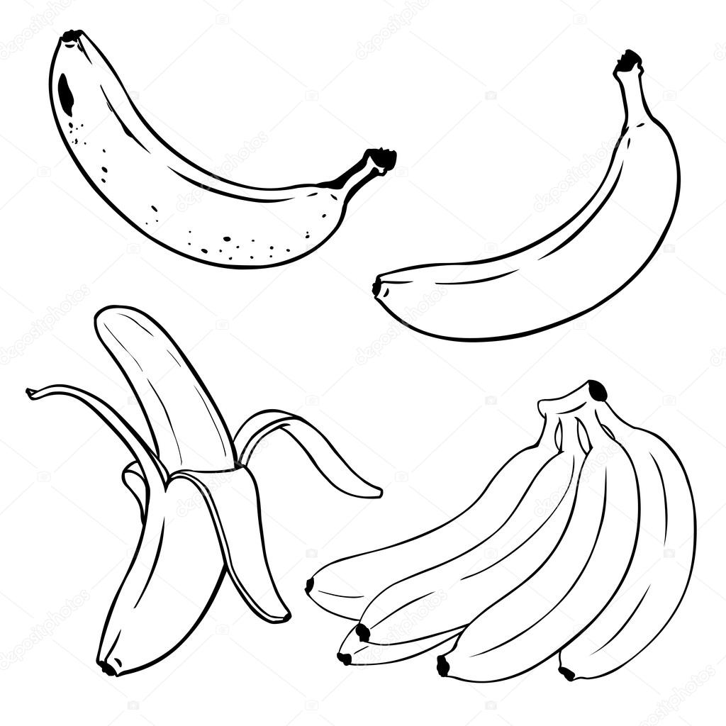 Banana Bunch Drawing at GetDrawings | Free download