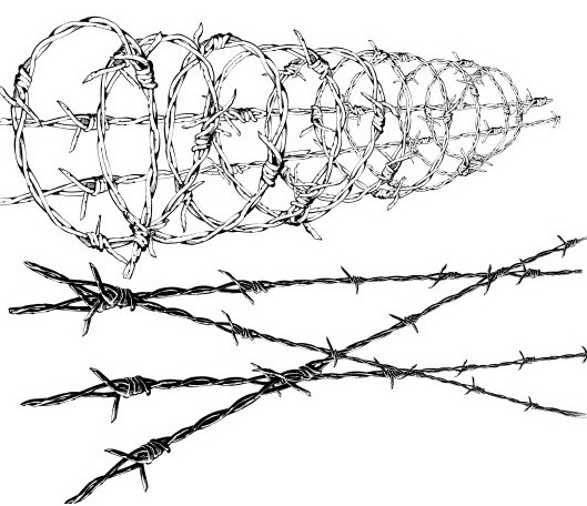 Concertina Barbed Wire Drawing Related Keywords & Suggestion