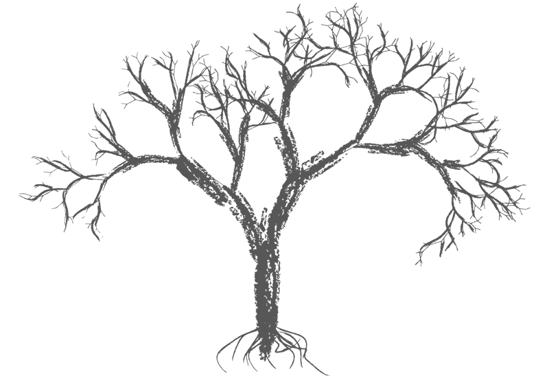 Bare Trees Drawing at GetDrawings | Free download