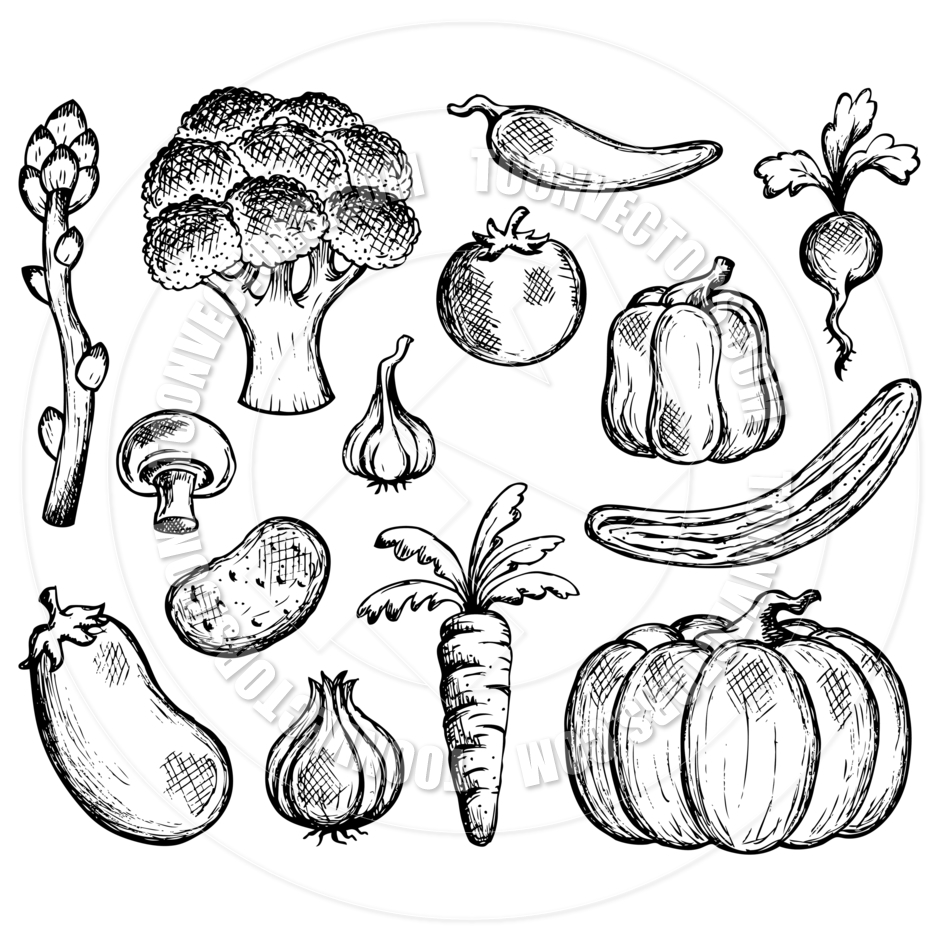 New Vegetable Sketch Drawing with simple drawing