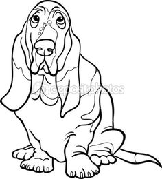 Basset Hound Drawing at GetDrawings | Free download