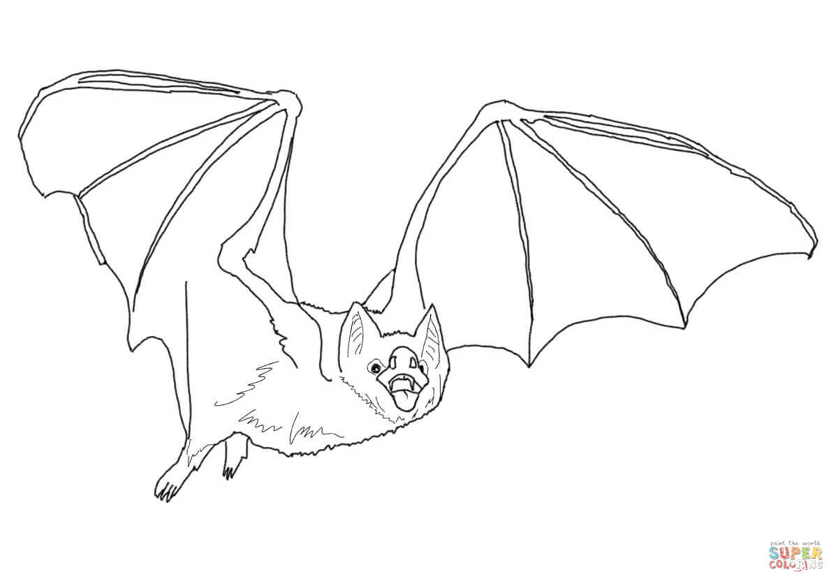 Bat Line Drawing at GetDrawings | Free download