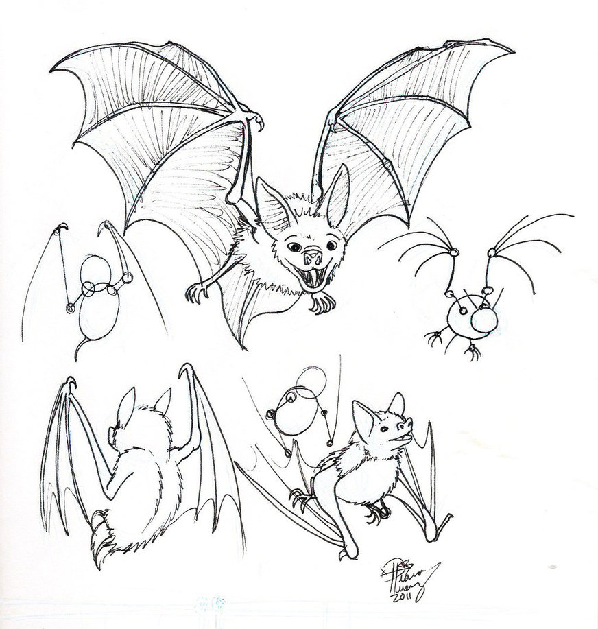 Bat Line Drawing at GetDrawings Free download