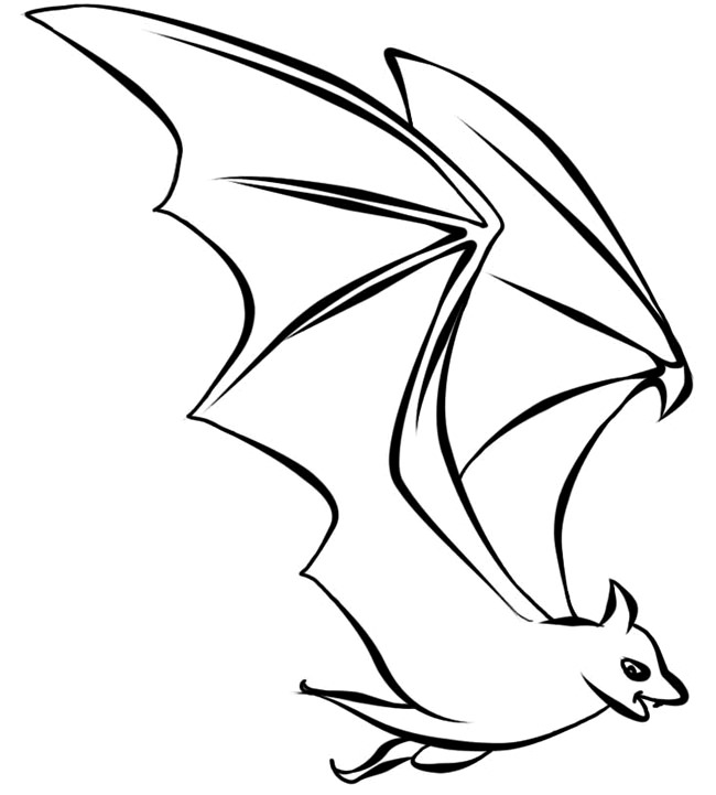 Bat Outline Drawing at GetDrawings Free download