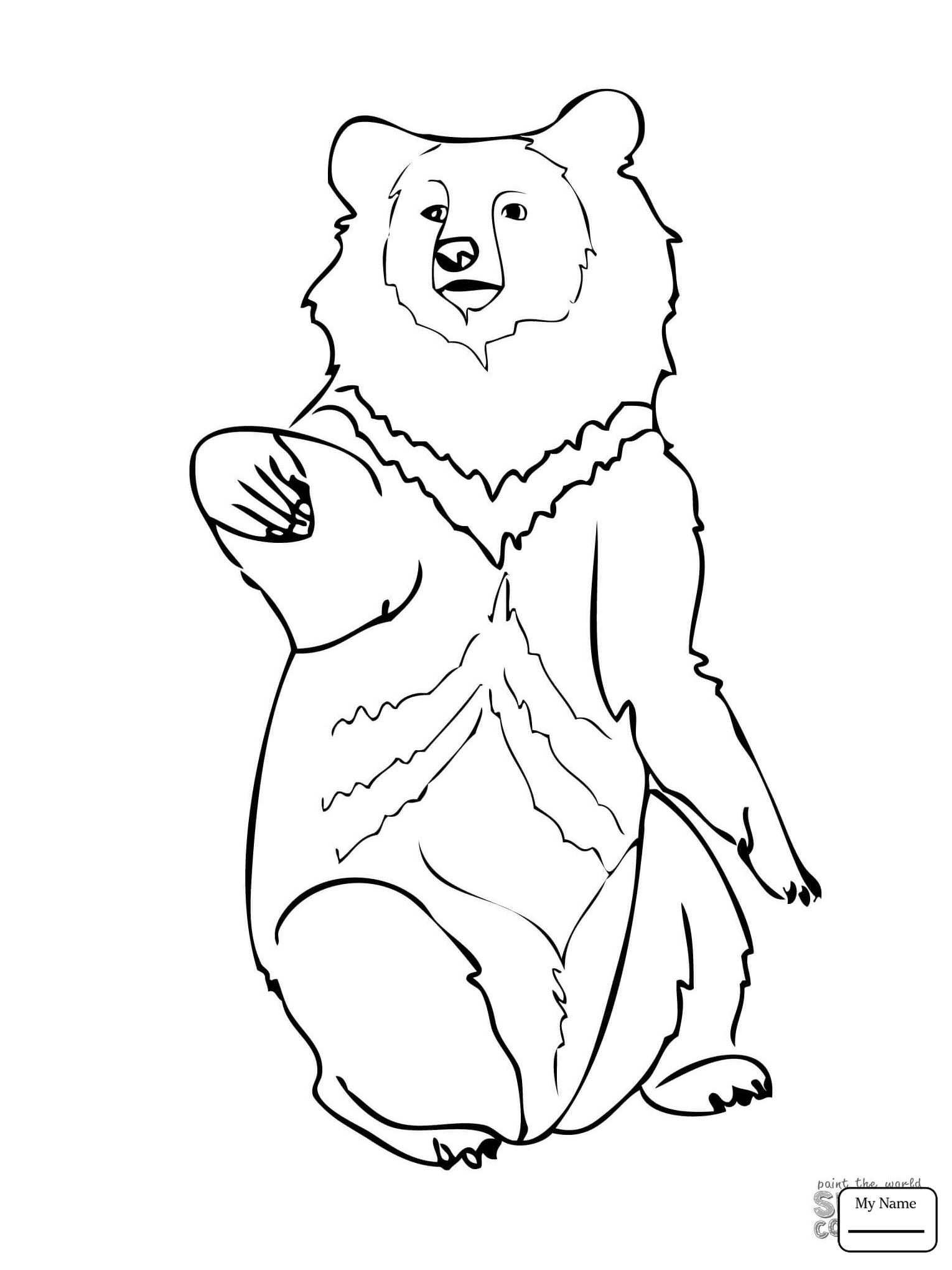 Bear Cub Drawing at GetDrawings | Free download