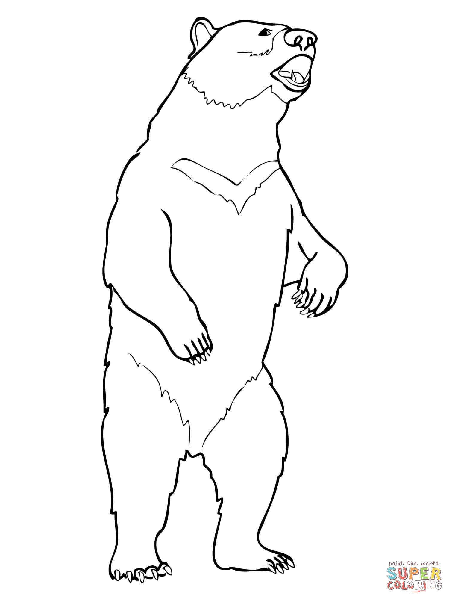 Bear Line Drawing at GetDrawings Free download