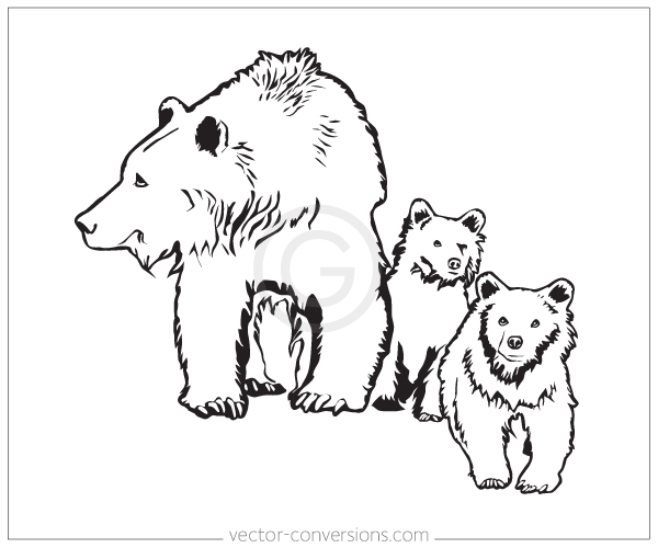 Bear Line Drawing at GetDrawings | Free download