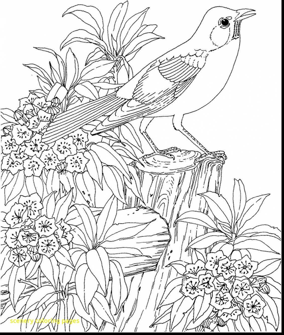 beautiful-scenery-colouring-pages-in-the-playroom