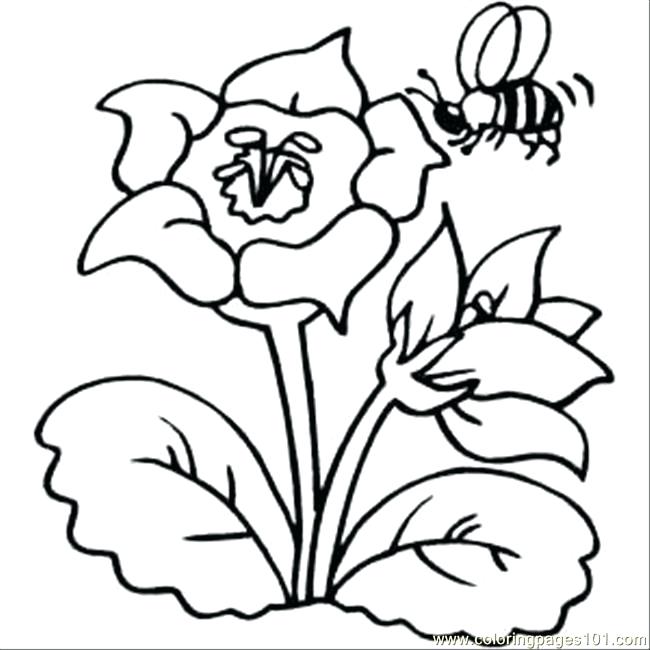 Bee And Flower Drawing at GetDrawings | Free download