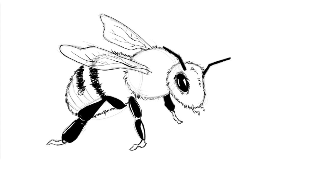 Bee Line Drawing at GetDrawings | Free download