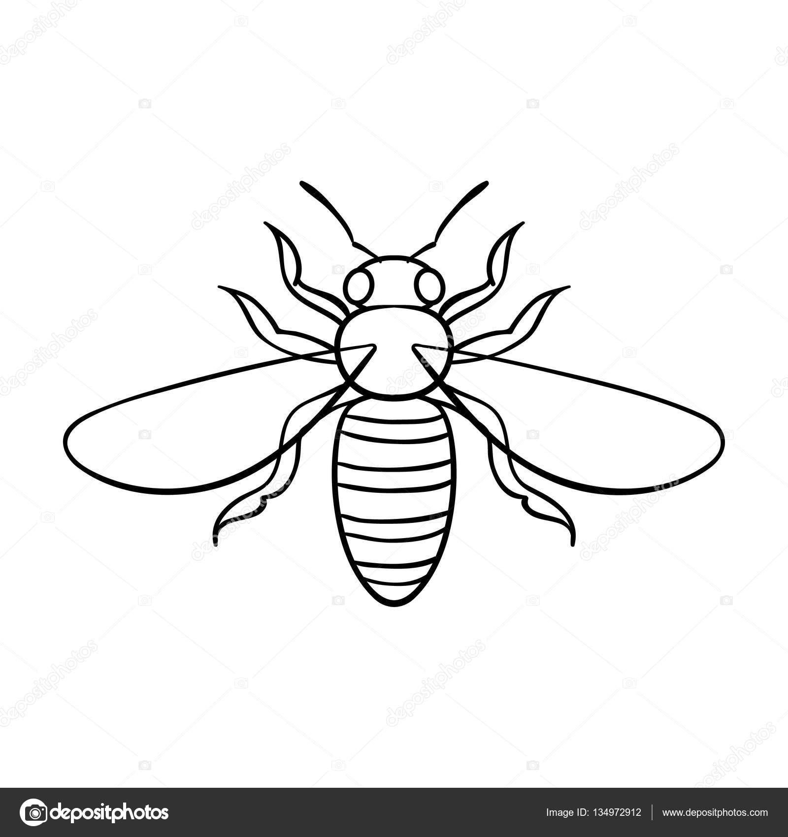 Bee Outline Drawing at GetDrawings Free download