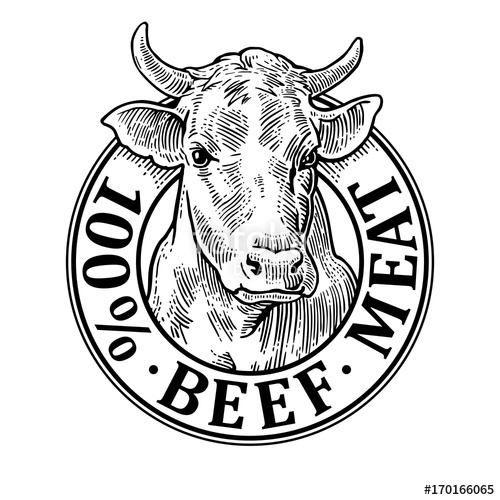 Beef Cow Drawing at GetDrawings Free download