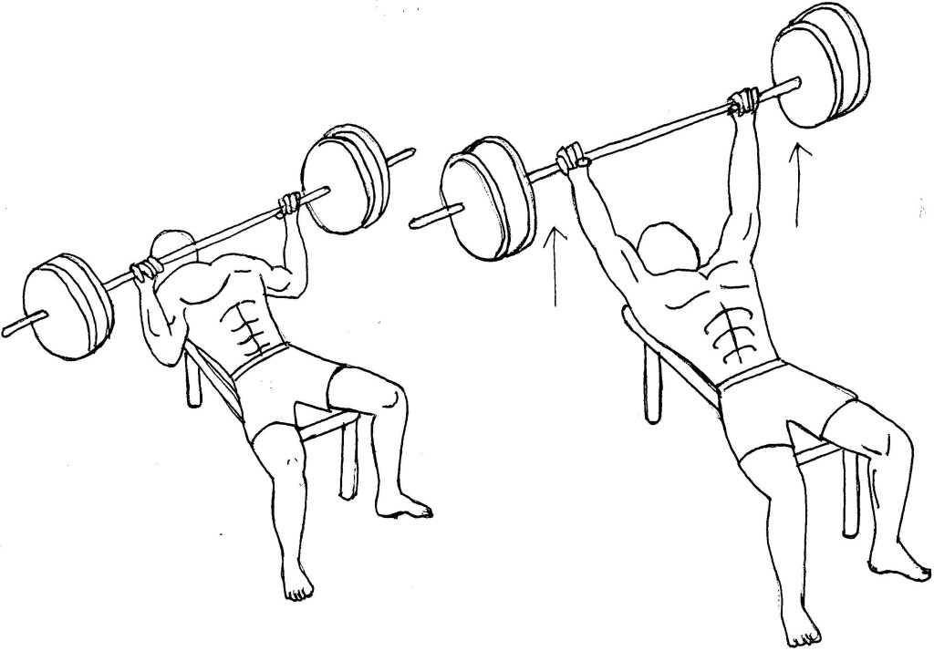 Low Incline Barbell Bench Press - ban-qthelove