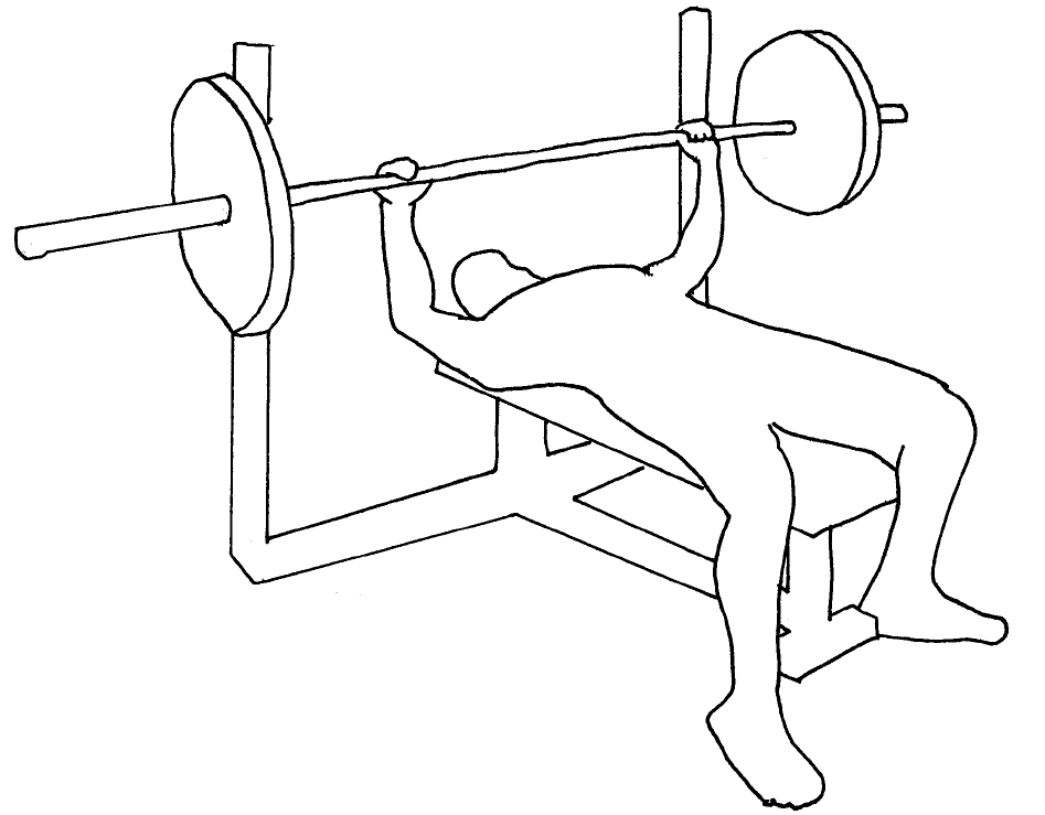 We have collect images about Bench press drawing easy including images, pic...