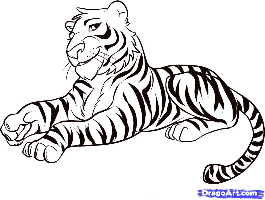 Bengal Tiger Drawing At Getdrawings 