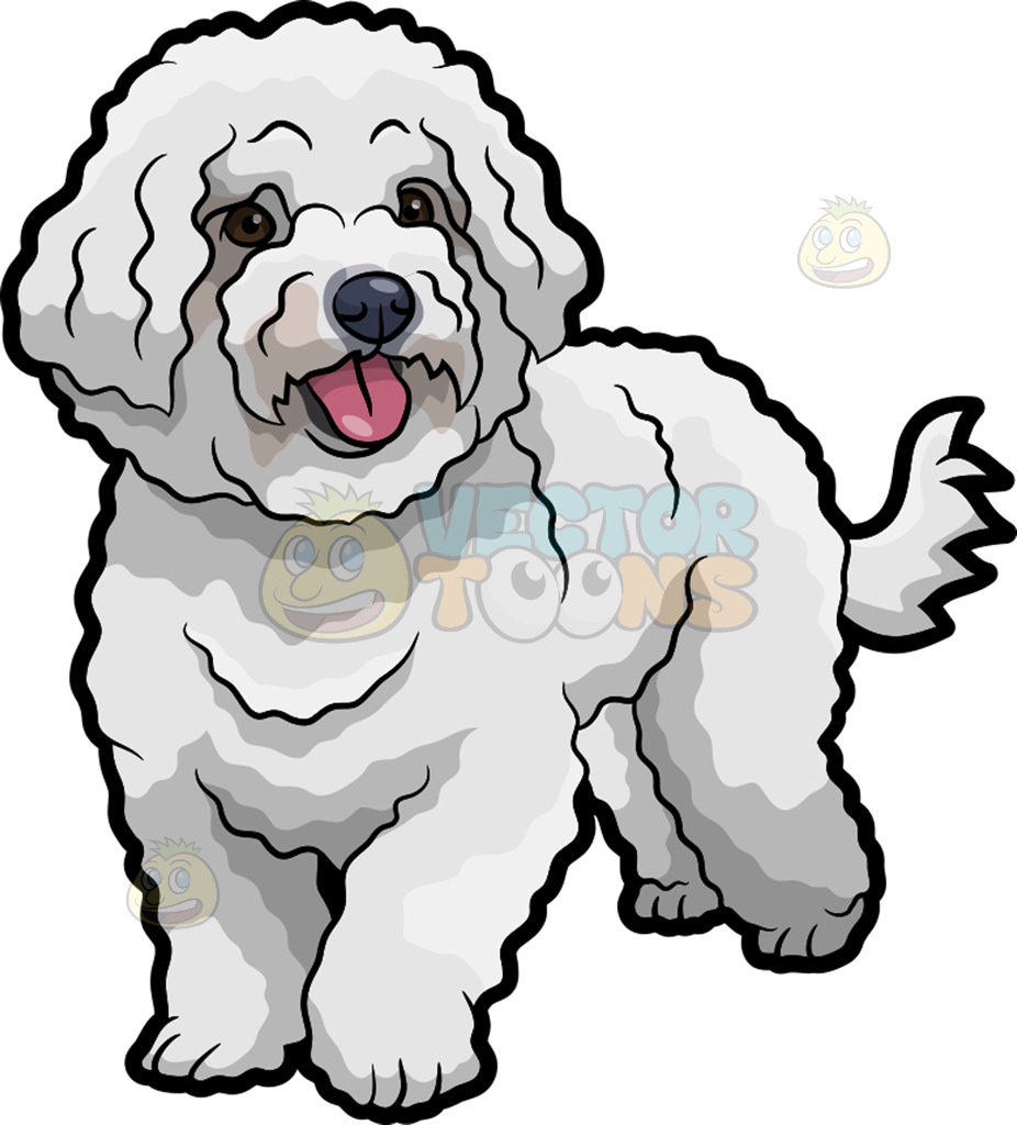 Bichon Frise Drawing at GetDrawings Free download