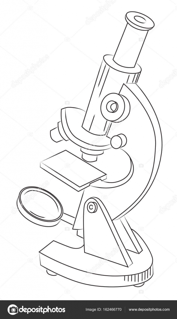 Binocular Microscope Drawing at GetDrawings | Free download