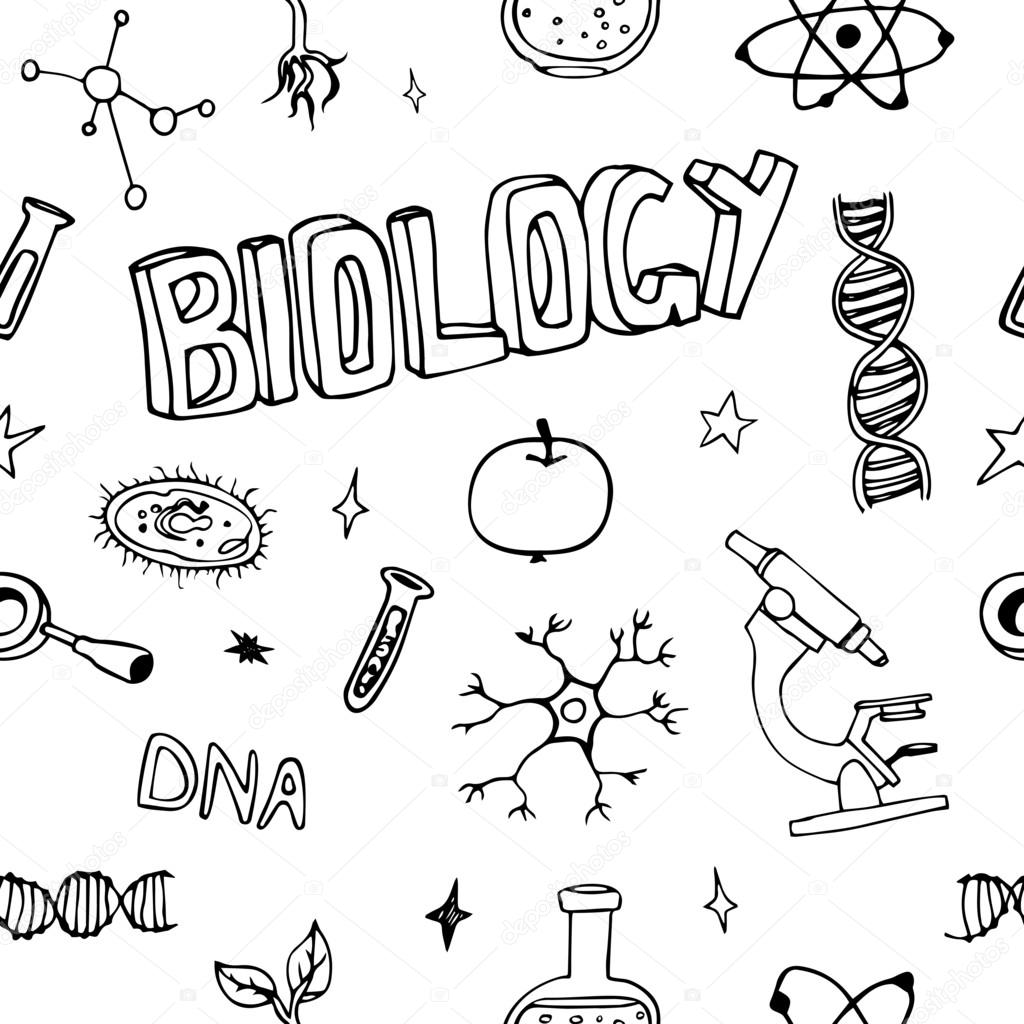 Biology Drawing at GetDrawings Free download