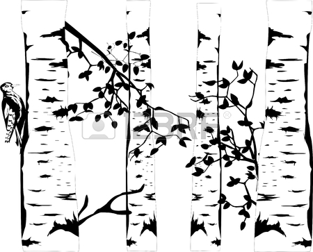 Birch Tree Silhouette Vector at GetDrawings | Free download