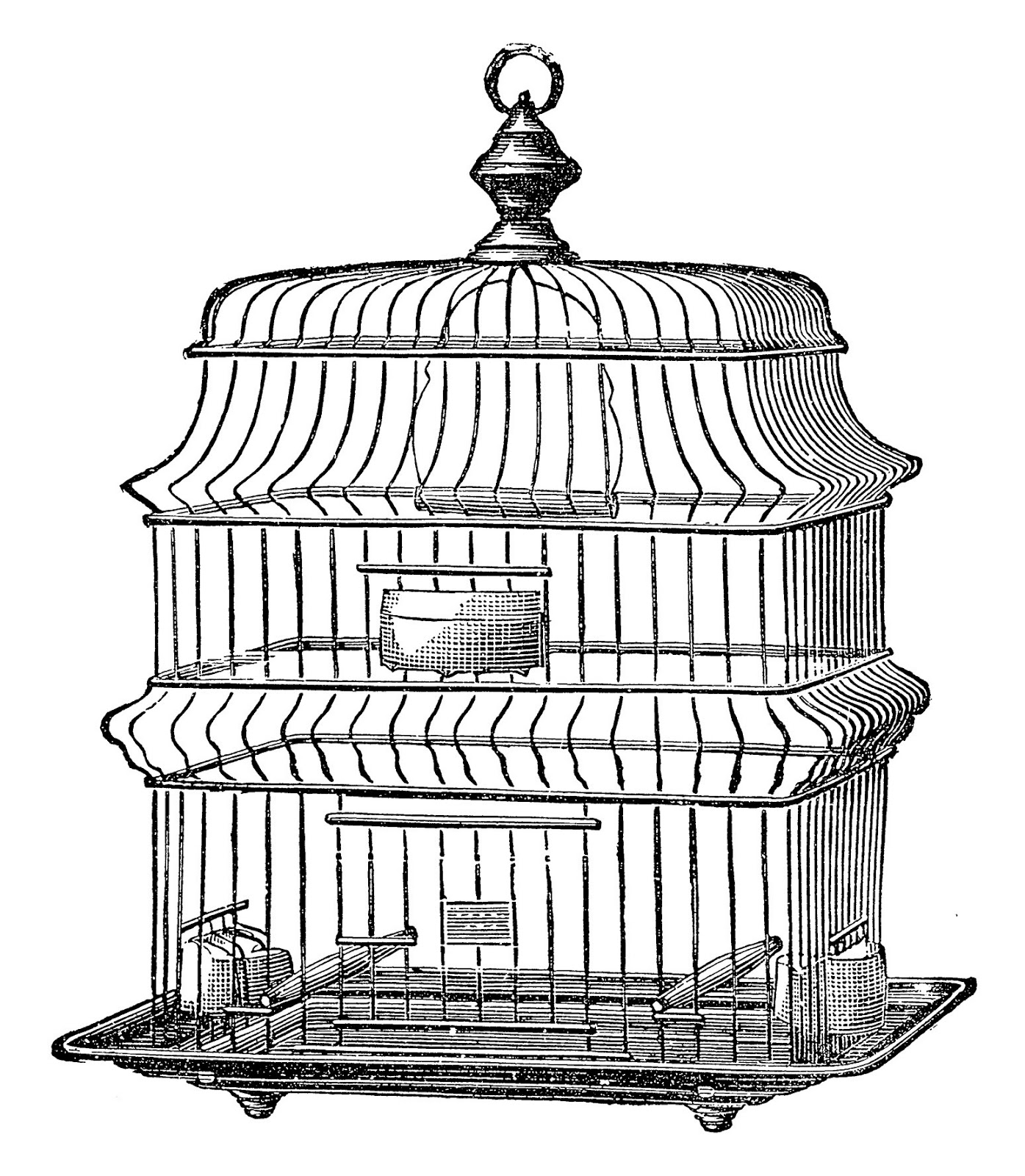 Bird In A Cage Sketch at PaintingValley.com | Explore collection of