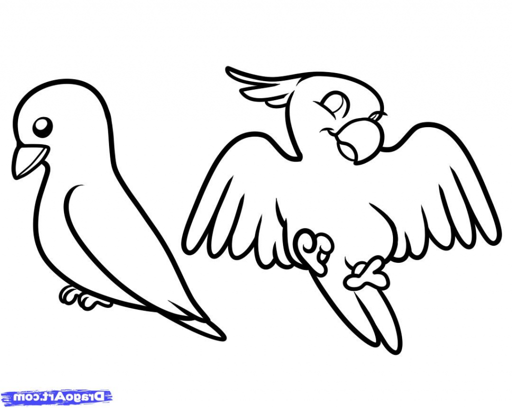 Bird Drawing at GetDrawings | Free download