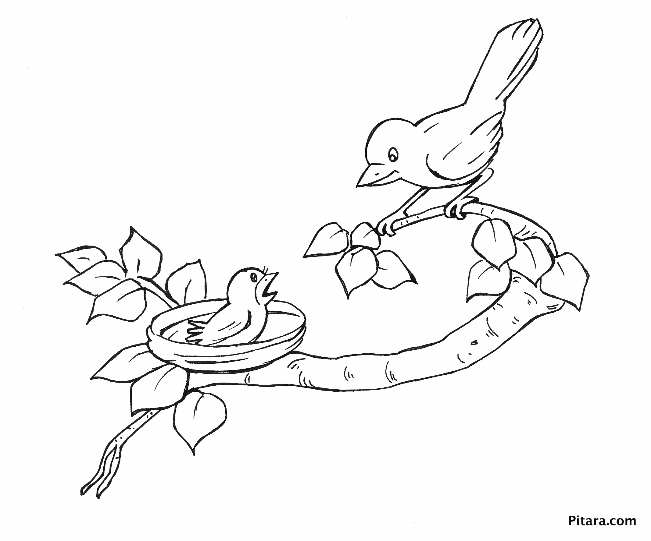 Bird Drawing For Kids at GetDrawings | Free download