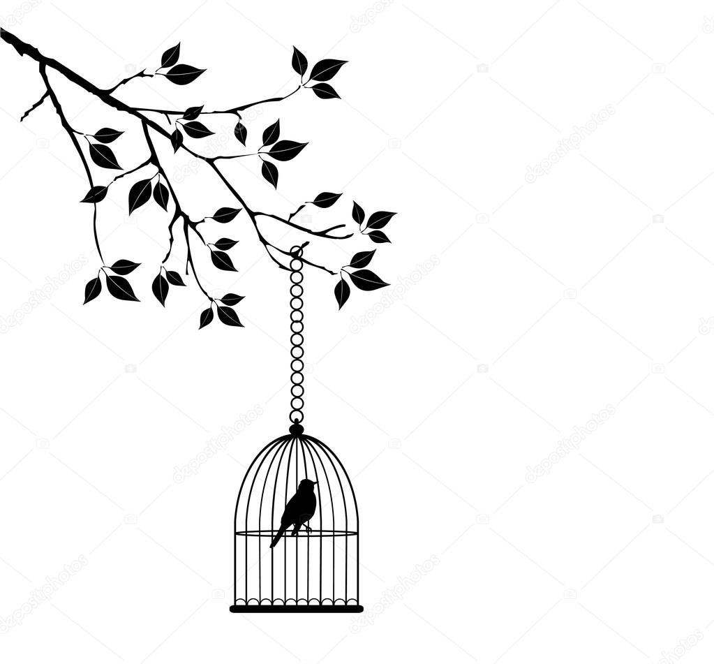 Bird Flying Out Of Cage Drawing at GetDrawings | Free download