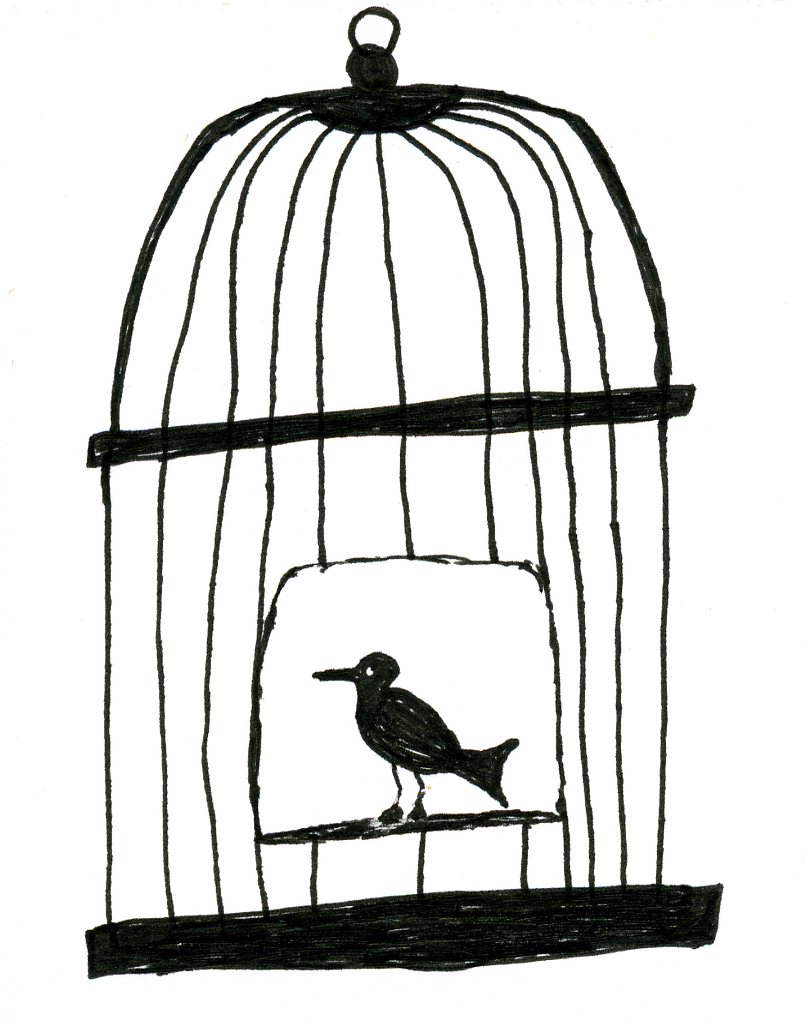 Bird In Cage Drawing at GetDrawings Free download