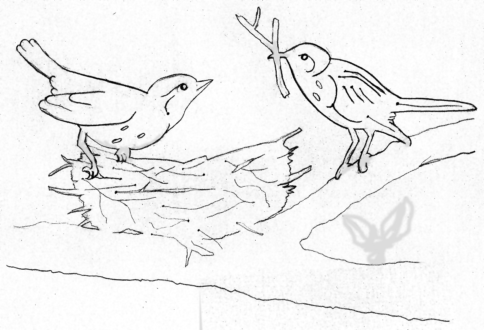 Перелетные птицы рисунок