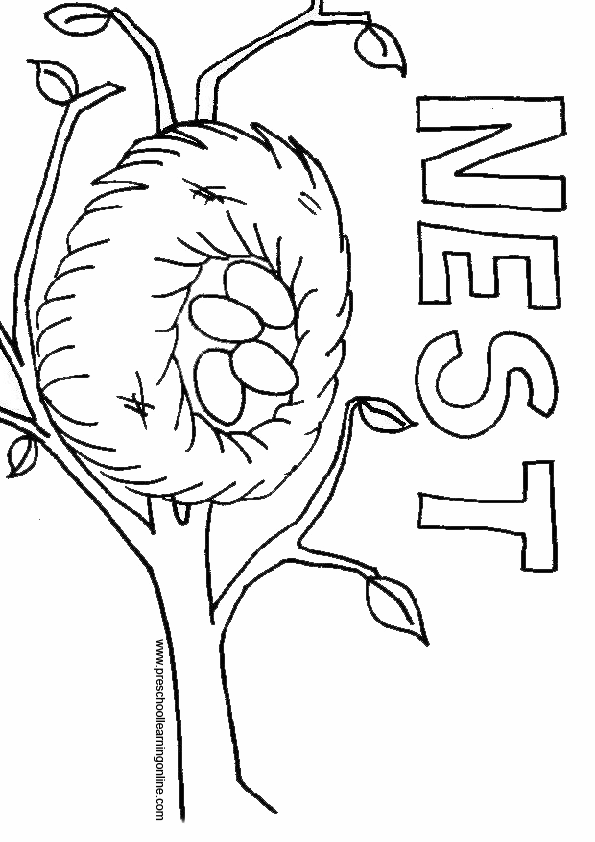 Empty Bird Nest Coloring Page Coloring Pages