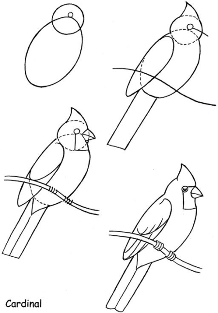Bird On Branch Drawing at GetDrawings | Free download