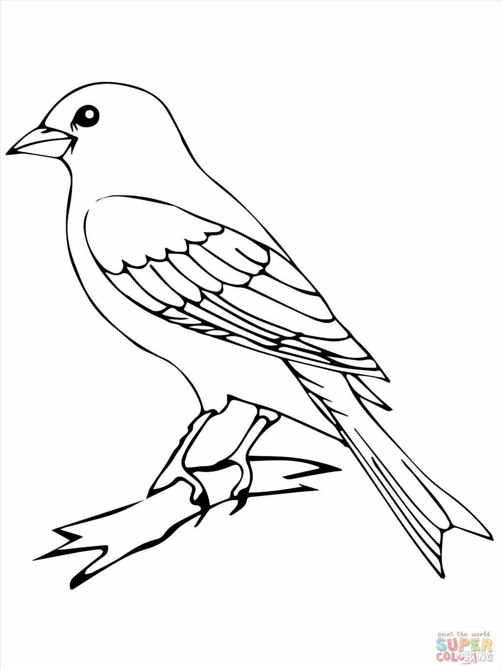 Bird Outline Drawing at GetDrawings Free download