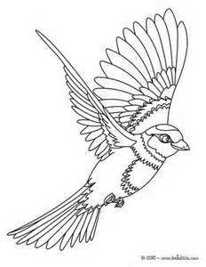 Bird Outline Drawing at GetDrawings | Free download