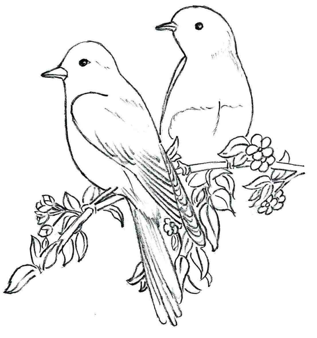 Bird Outline Drawing at GetDrawings Free download