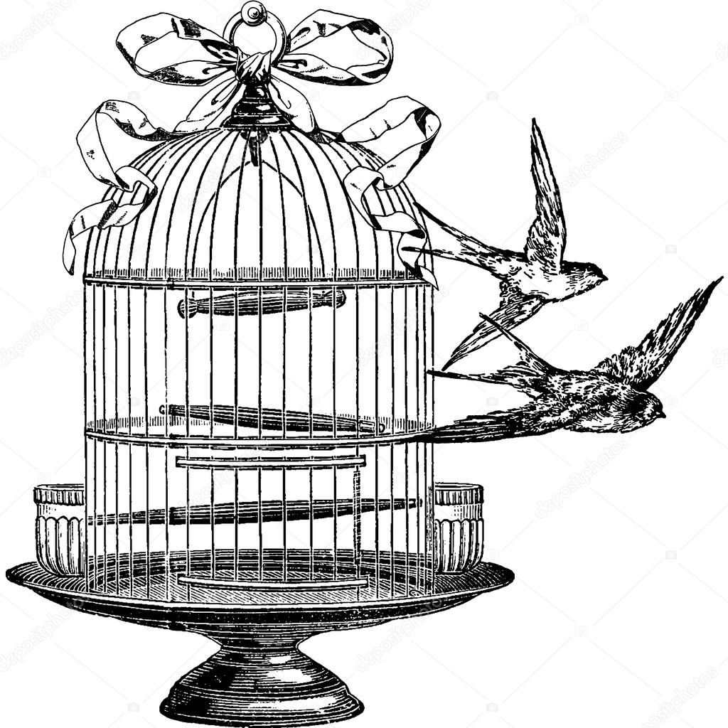 Birdcage Drawing at GetDrawings Free download