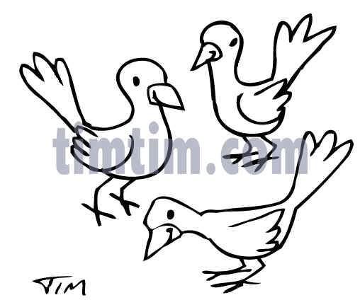 Birds Images Drawing at GetDrawings | Free download