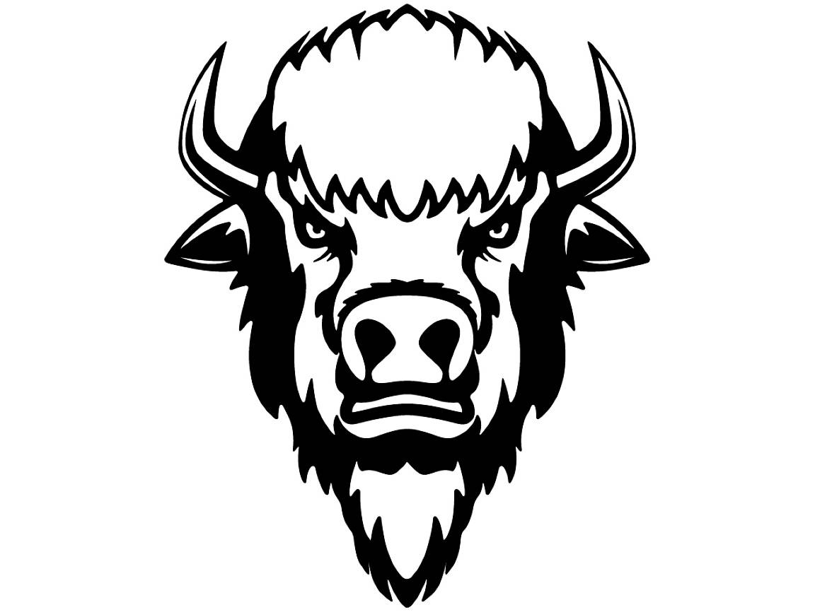 Bison head drawing - 🧡 BUFFALO HEAD 2. Buffalo art, Buffalo painting, B...