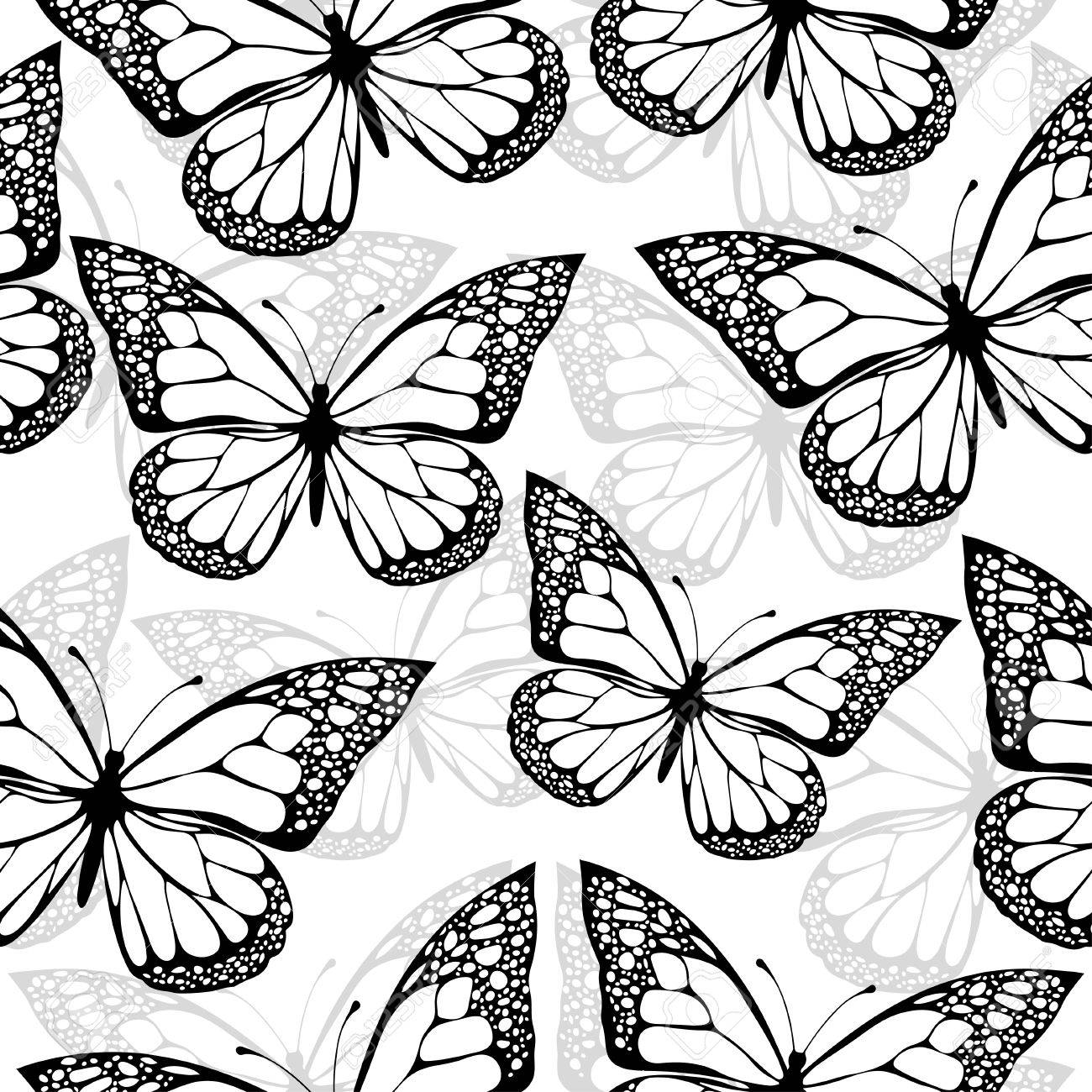 Black And White Butterfly Drawing At Getdrawings Free Download