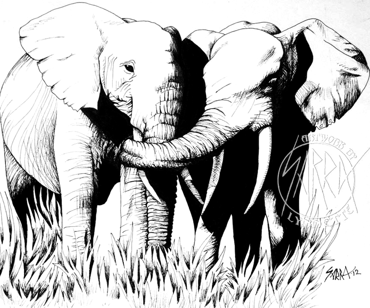 Black And White Elephant Drawing at GetDrawings Free download