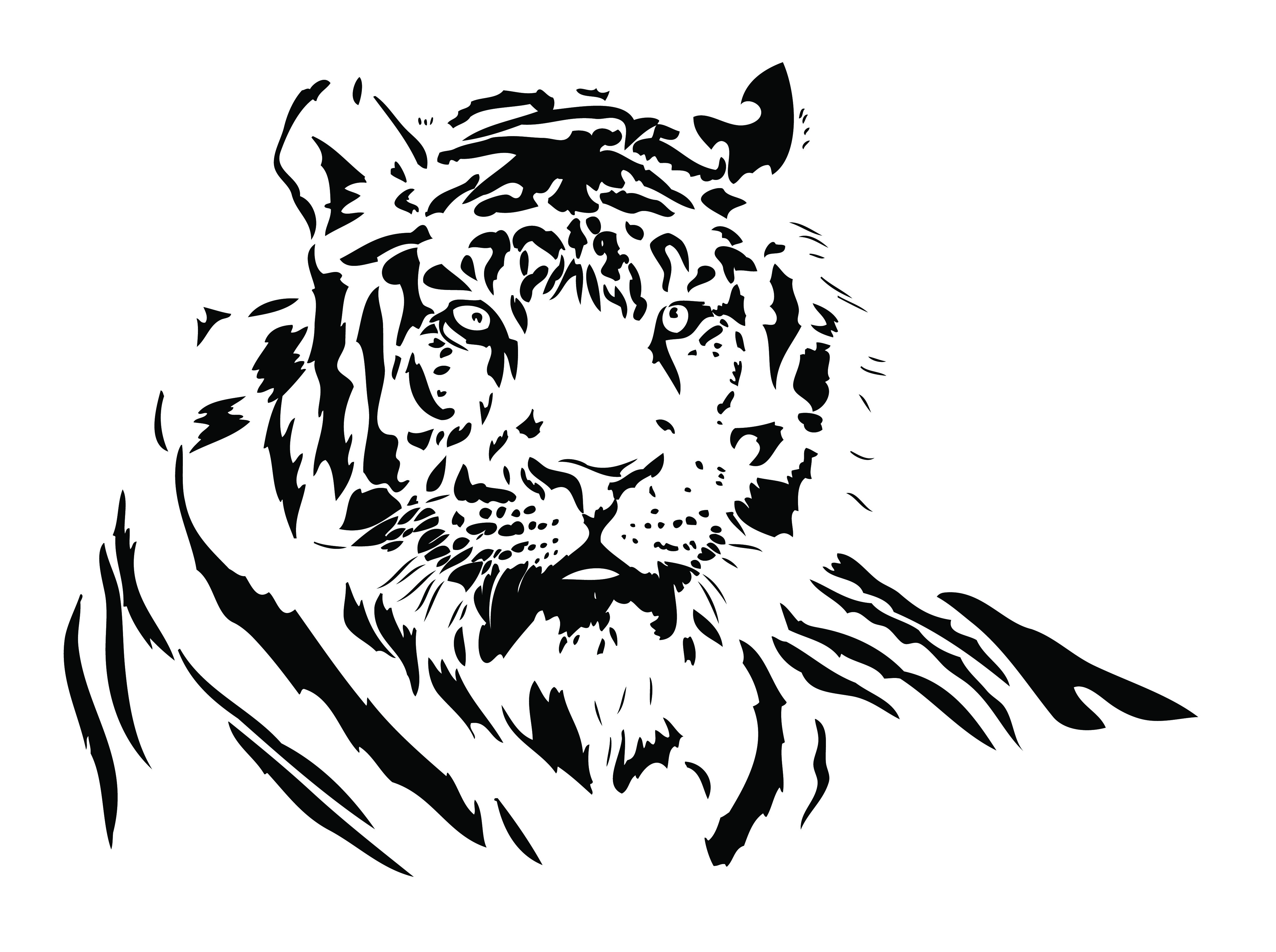 Black And White Tiger Drawing at GetDrawings | Free download