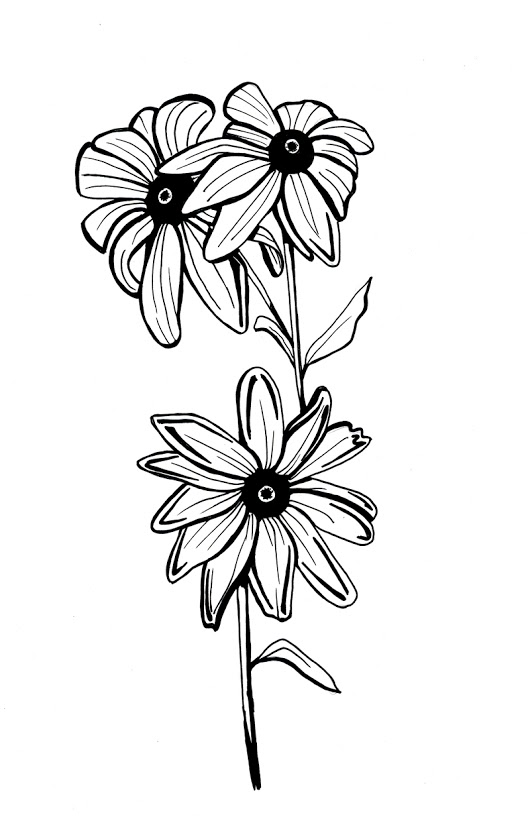 Black Eyed Susan Drawing at GetDrawings | Free download