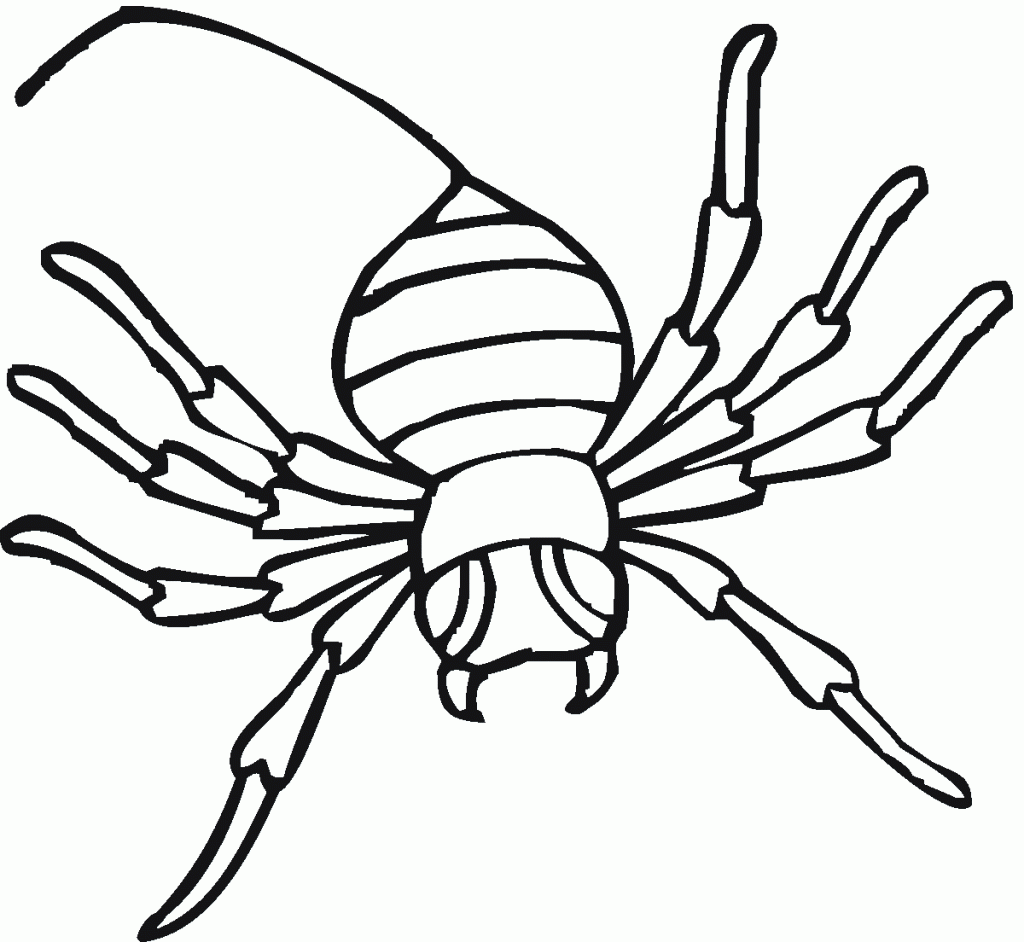 Black Widow Spider Drawing at GetDrawings Free download