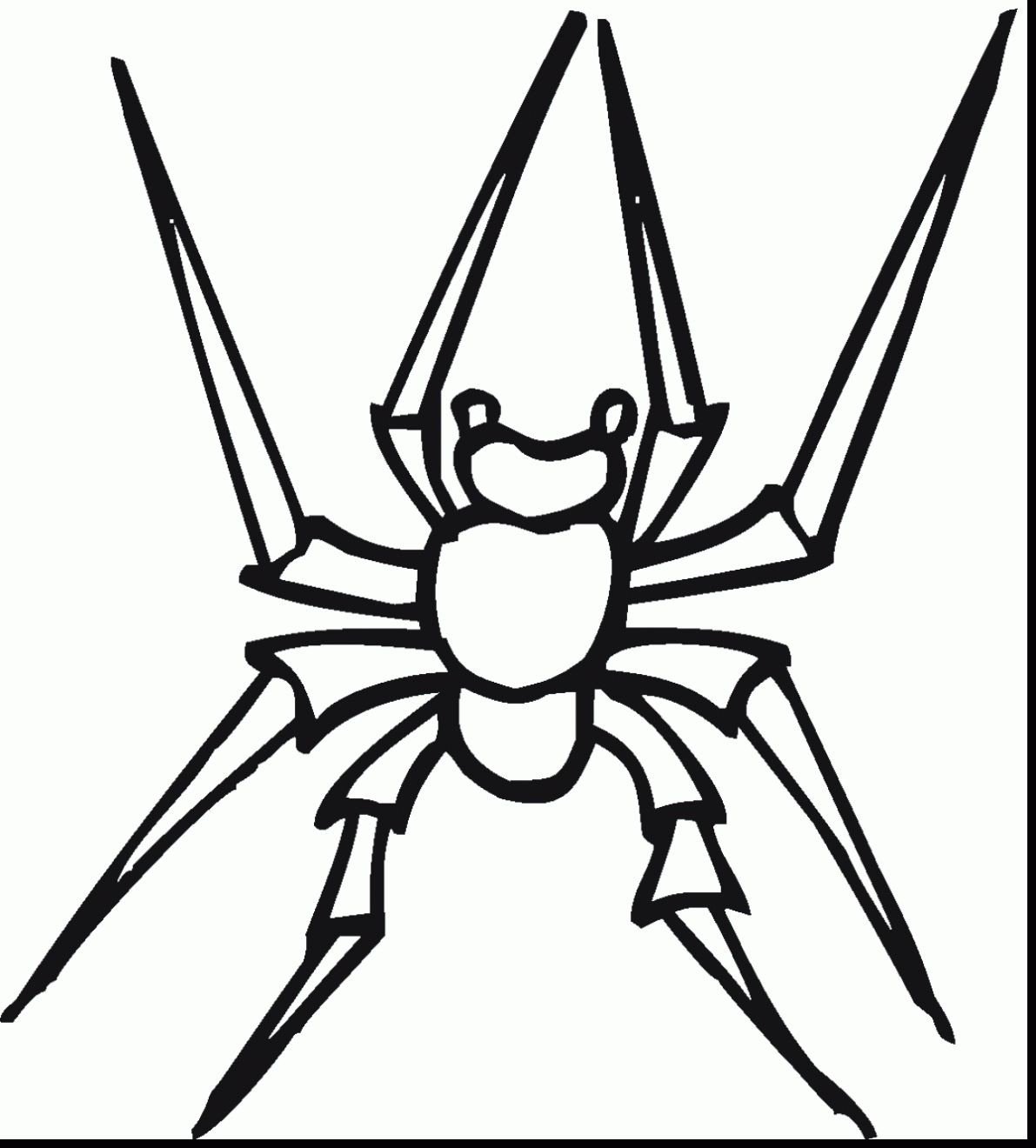 Black Widow Spider Drawing at GetDrawings Free download