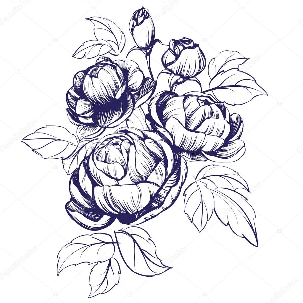 Blooming Rose Drawing at GetDrawings Free download