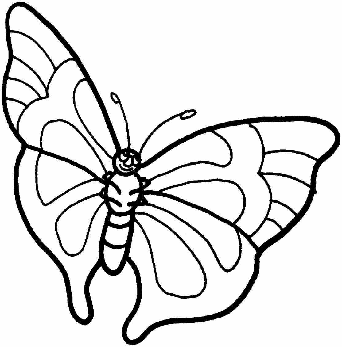 blue-butterfly-drawing-at-getdrawings-free-download