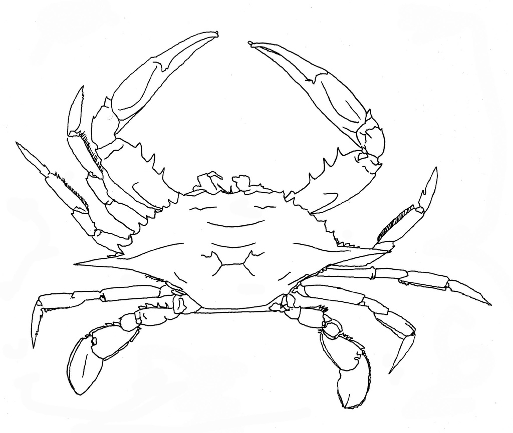 The best free Louisiana drawing images. Download from 117 free drawings