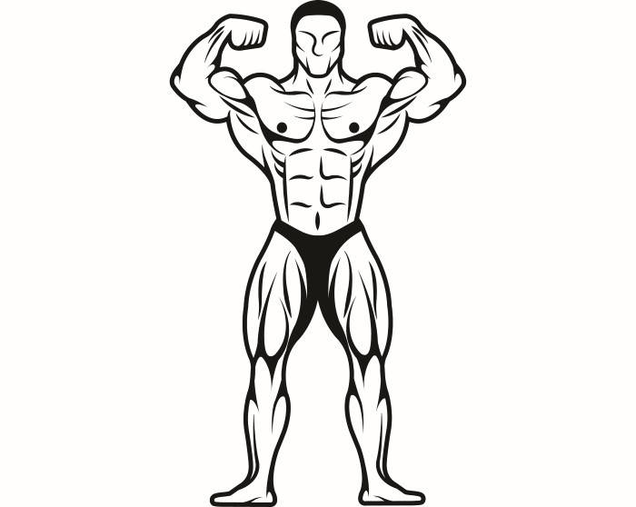 Body Builder Drawing At Getdrawings 